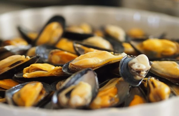 Spain's Import of Shellfish Declines by 7% to $2 Billion in 2023